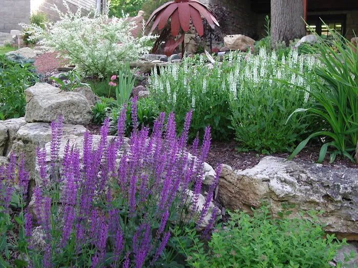 Createscape Landscaping Service, Inc Picture 10