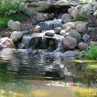 Createscape Landscaping Service, Inc ico