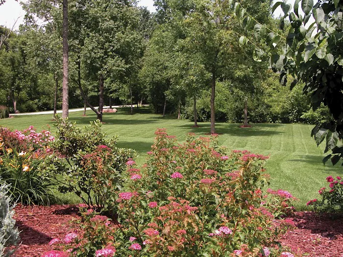 Createscape Landscaping Service, Inc Picture 4