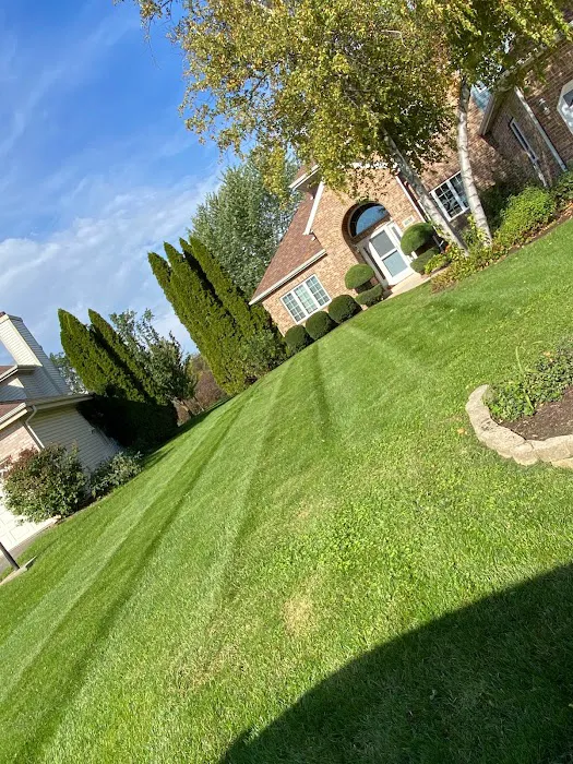 U&I Landscaping Maintenance Picture 8