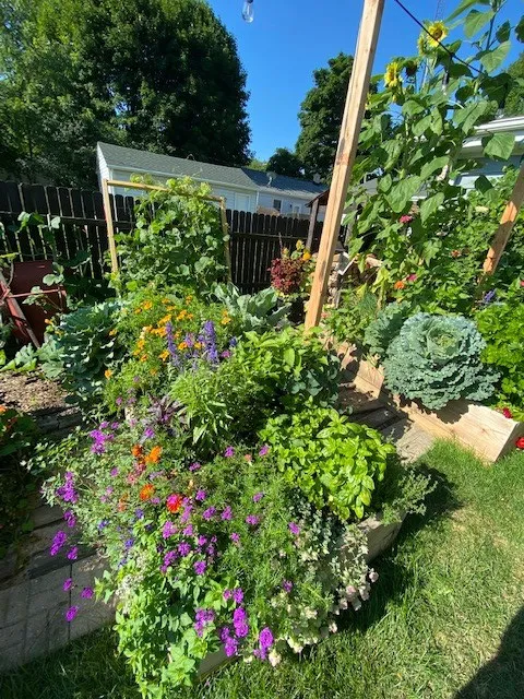 Blue Ribbon Organics Picture 4