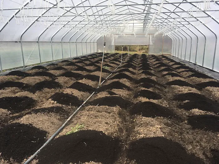 Blue Ribbon Organics Picture 9