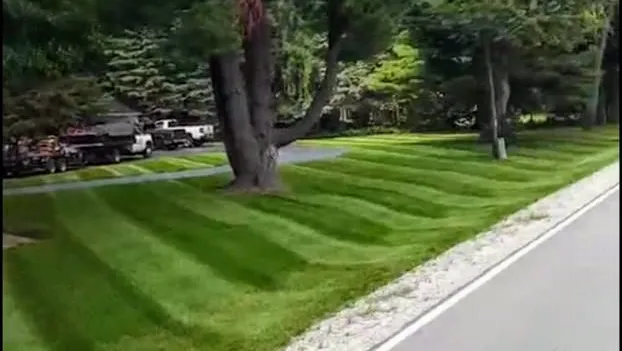 Thomas Lawn & Landscape, LLC Picture 10