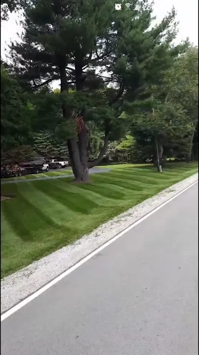 Thomas Lawn & Landscape, LLC Picture 7