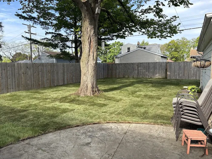 Santiago's Landscaping llc Picture 6