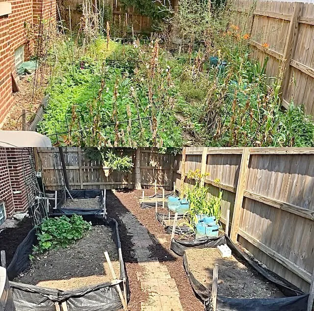 Santiago's Landscaping llc Picture 7