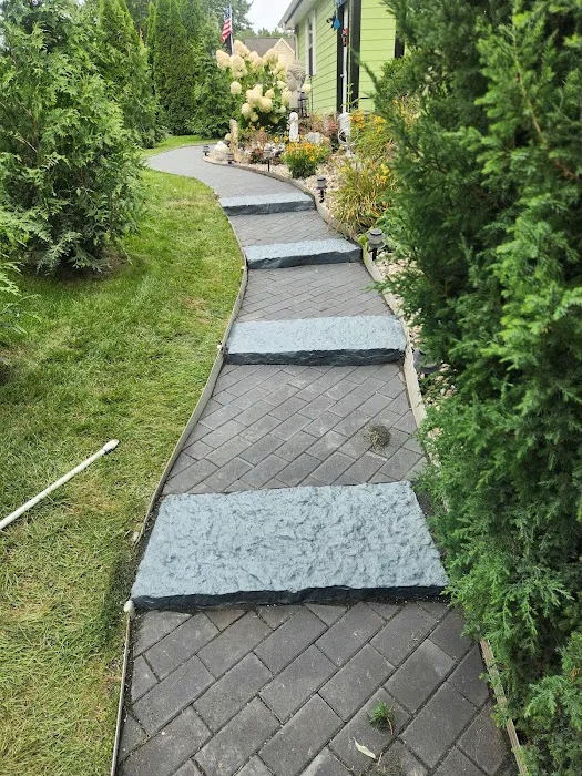 Santiago's Landscaping llc Picture 4