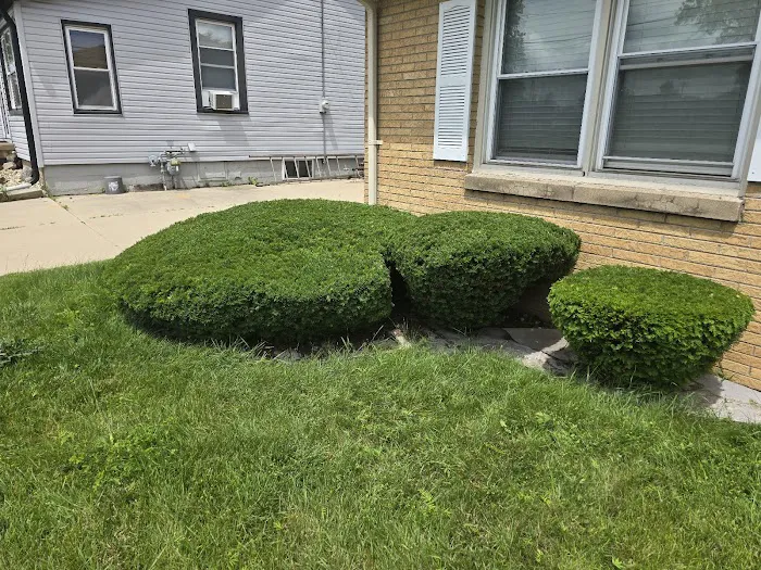 Santiago's Landscaping llc Picture 3