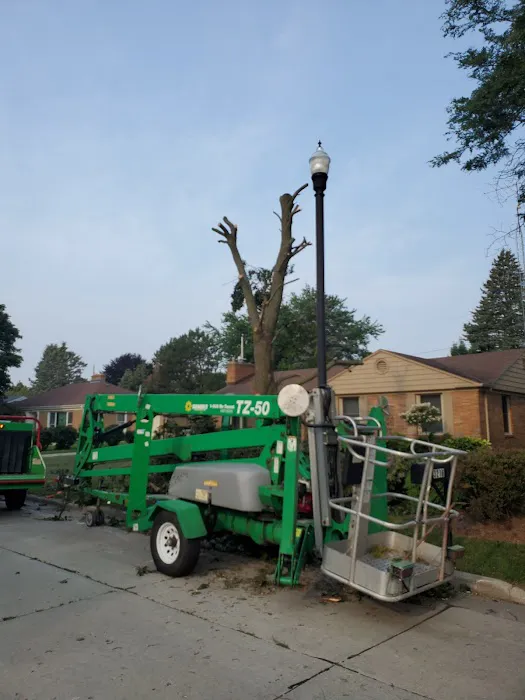 Santiago's Landscaping llc Picture 8