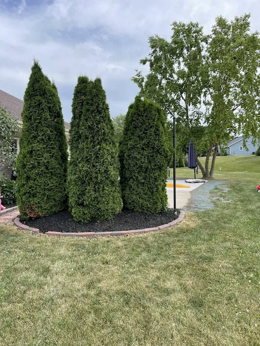 D & B Lawn Service, L.L.C. Picture 6