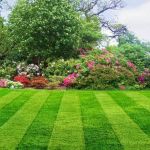 D & B Lawn Service, L.L.C.