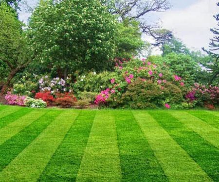 D & B Lawn Service, L.L.C.