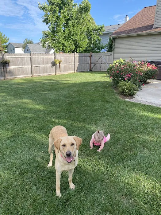 D & B Lawn Service, L.L.C. Picture 5