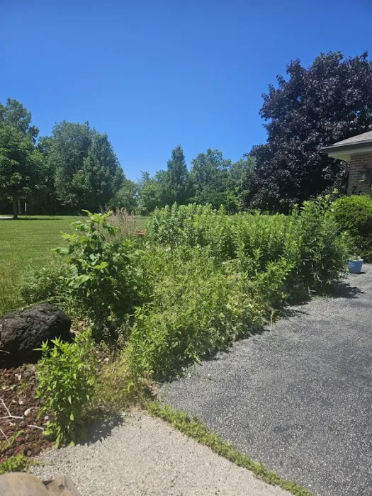 D & B Lawn Service, L.L.C. Picture 8
