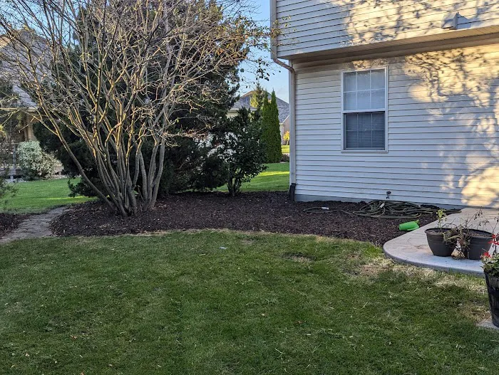 Sadler Landscaping LLC Picture 6
