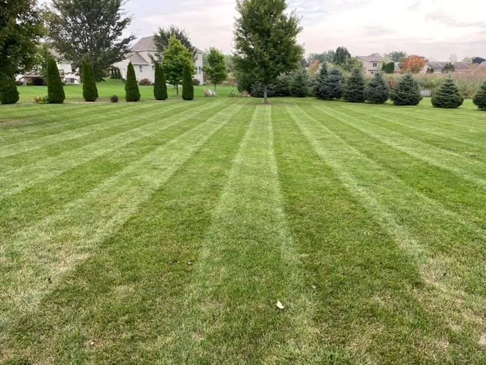 Sadler Landscaping LLC Picture 5