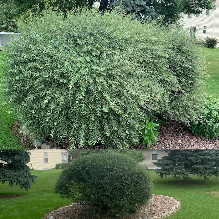Ruffing Lawn Services Picture 9