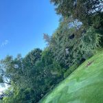 Angel Landscape And Snow