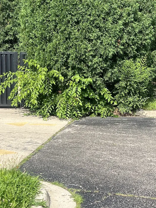 Trimmed & Plowed LLC Picture 2