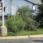 Trimmed & Plowed LLC