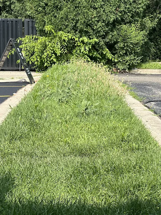 Trimmed & Plowed LLC Picture 4
