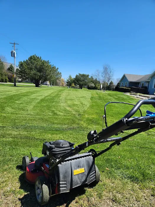 Bunnies Lawn Services Picture 7