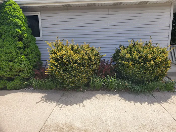 OROZCO LANDSCAPING LLC. Picture 10