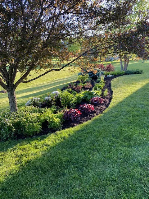 OROZCO LANDSCAPING LLC. Picture 9