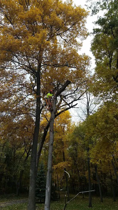 Your Personal Gardener & Arborist Picture 8