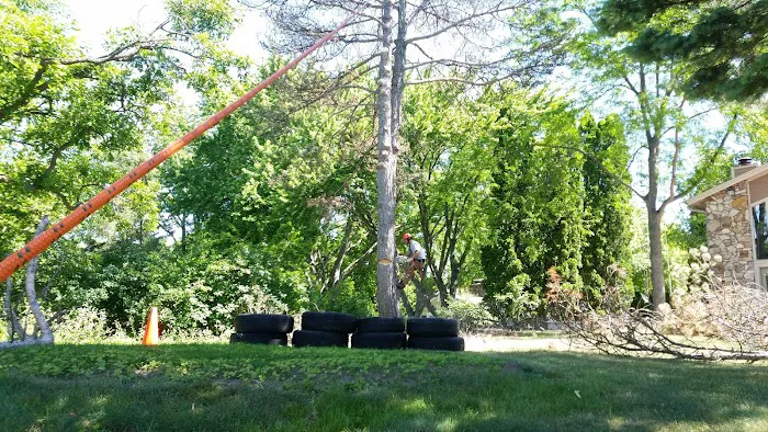 Your Personal Gardener & Arborist Picture 6
