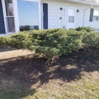 KNK Landscaping Customs ico