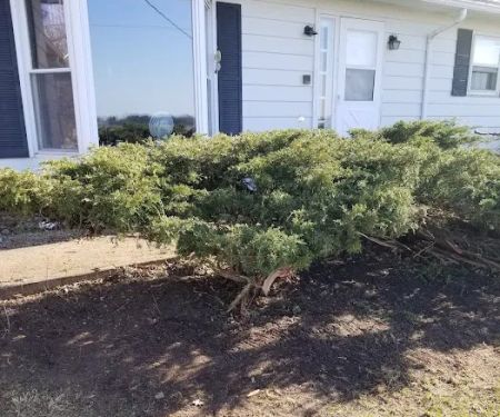 KNK Landscaping Customs