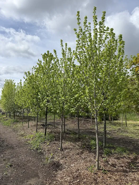 Roberts Nursery & Landscaping Picture 5