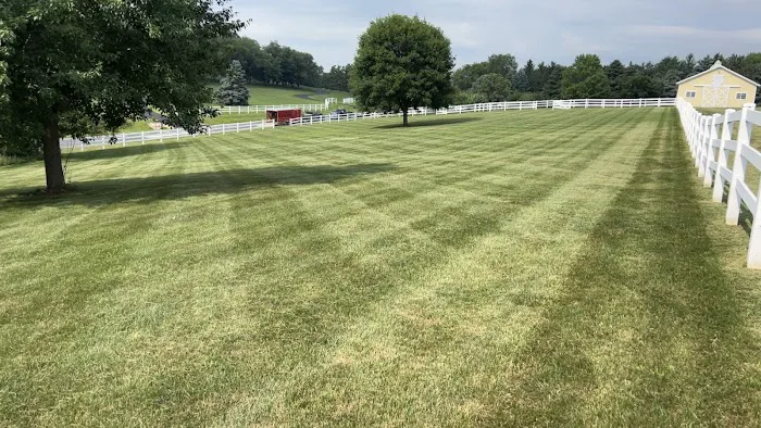 Guttuso's Yard Service LLC Picture 1