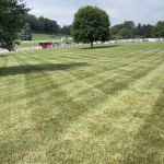 Guttuso's Yard Service LLC