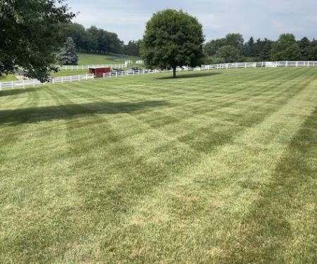 Guttuso's Yard Service LLC