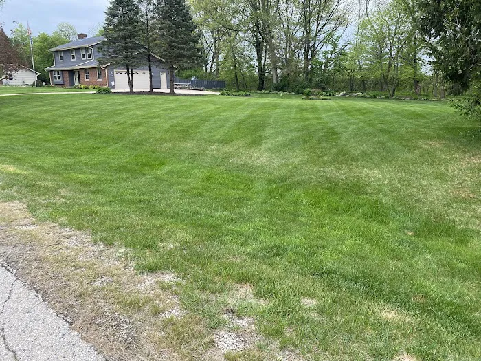 Guttuso's Yard Service LLC Picture 9