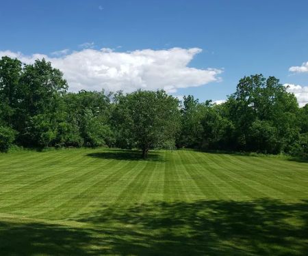 Osmann Lawn & Landscape Management LLC