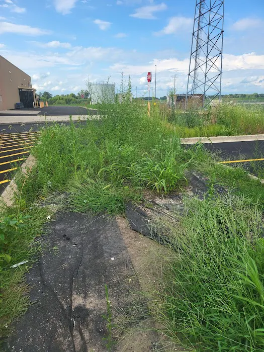 Angel lopez landscaping Picture 4