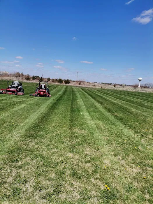 Angel lopez landscaping Picture 6