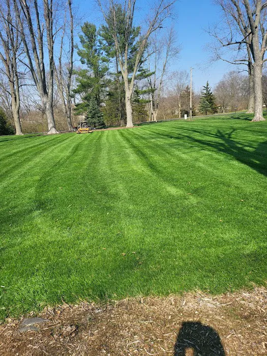 Angel lopez landscaping Picture 1