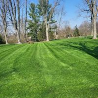 Angel lopez landscaping ico