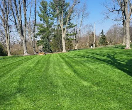 Angel lopez landscaping
