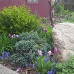 O'Brien Landscapes