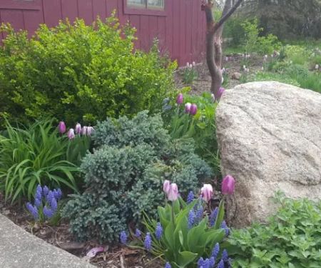 O'Brien Landscapes