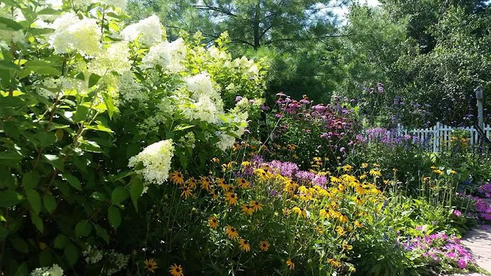 O'Brien Landscapes Picture 9