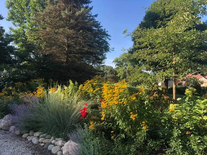 O'Brien Landscapes Picture 8