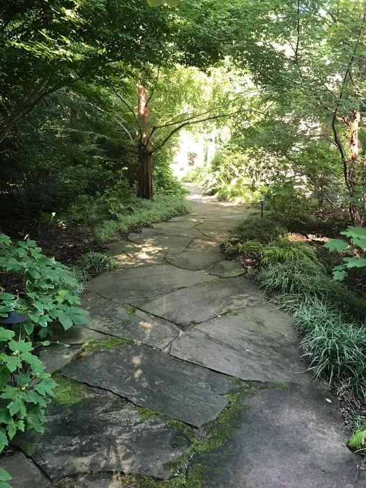 O'Brien Landscapes Picture 10