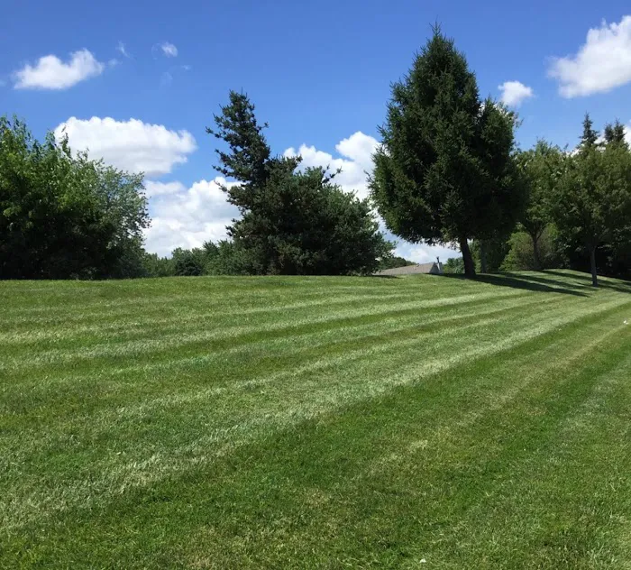 Custom Landscaping Inc. Picture 3