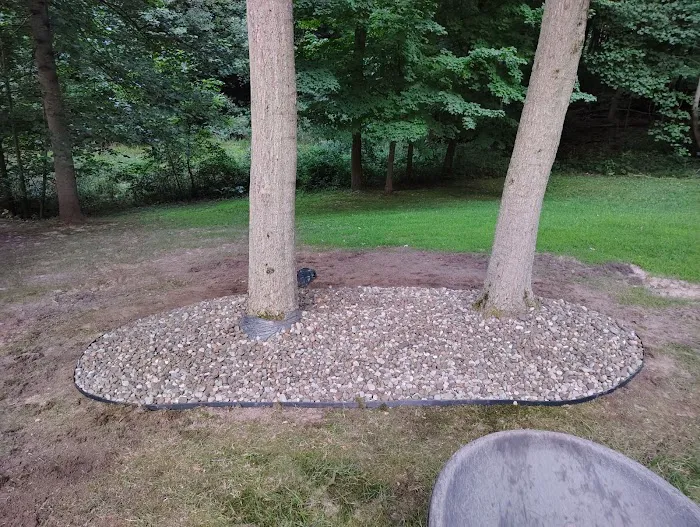 Nelson landscaping and lawn Care Picture 6
